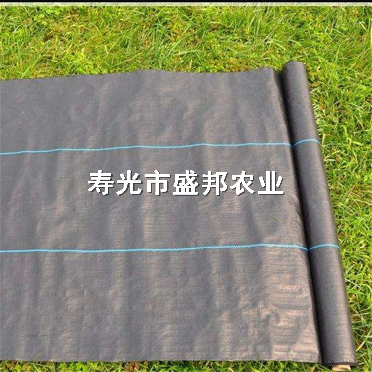园艺地布 果园防草布 除草布