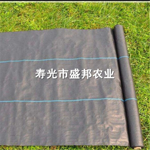 寿光市园艺地布 果园防草布 除草布