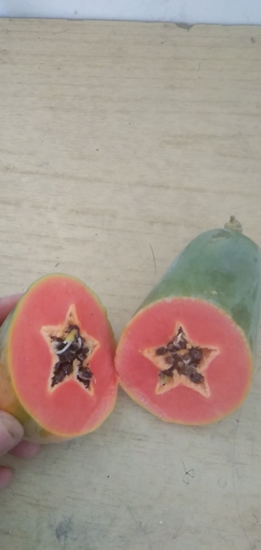 大白木瓜 广东省茂名市电白区 一级果