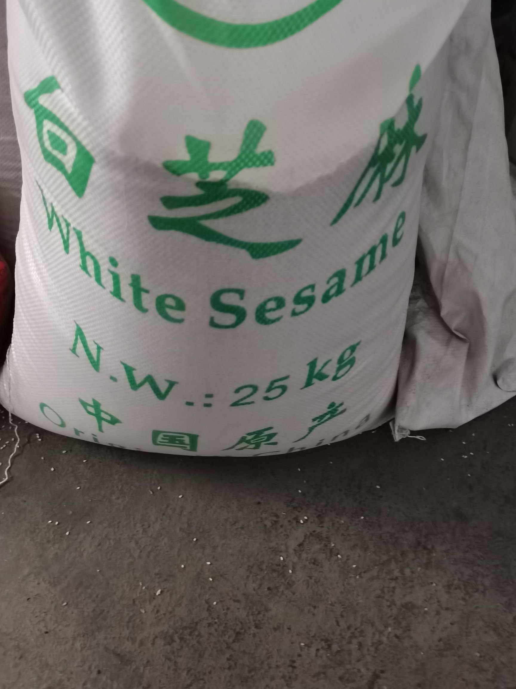 油麻  白芝麻 熟白芝麻  饱满做芝麻盐榨油磨酱等级多种