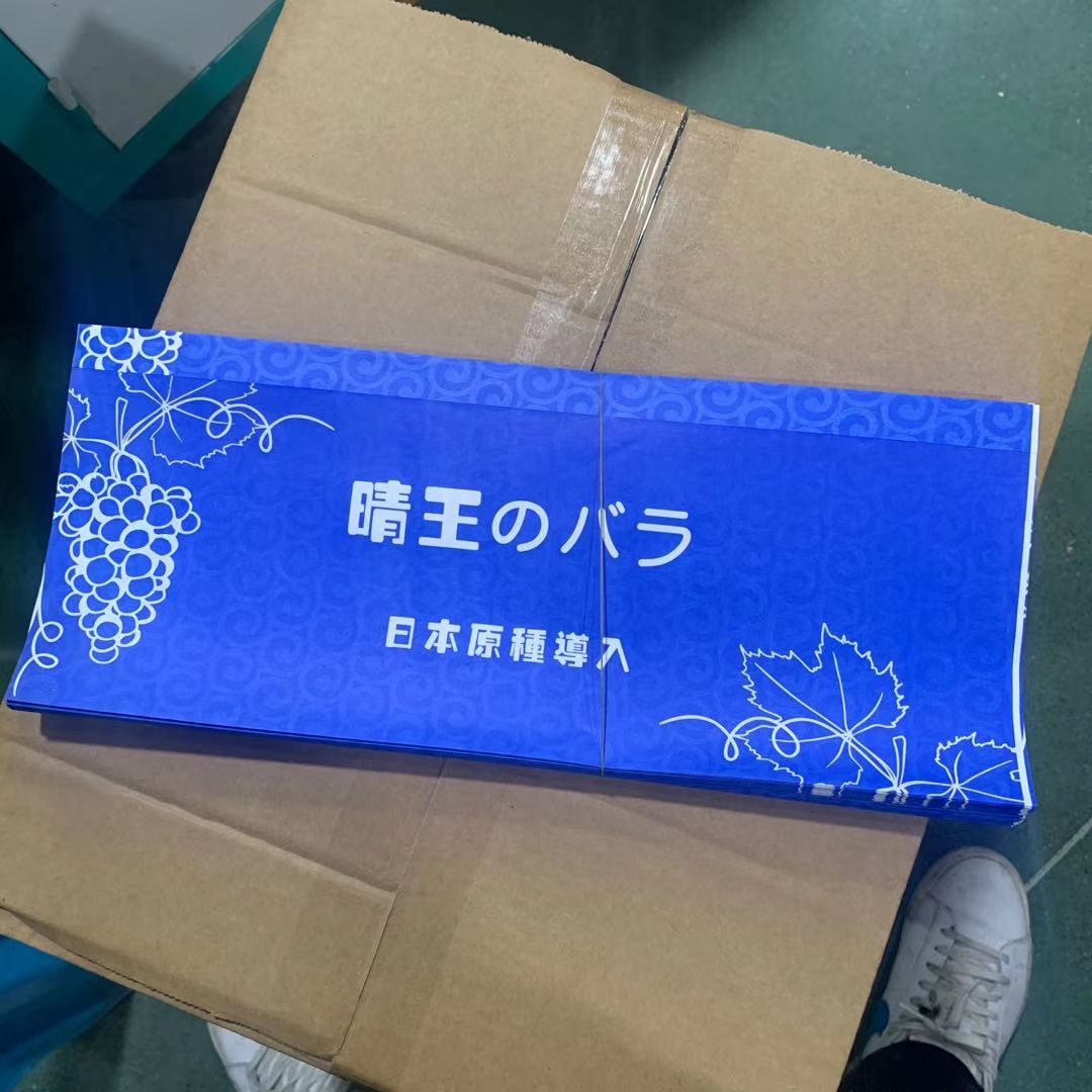 纸袋  葡萄包装袋 纸包装袋 无防布包装袋 哈密瓜包装袋