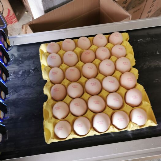 浠水县粉壳蛋 食用 箱装 