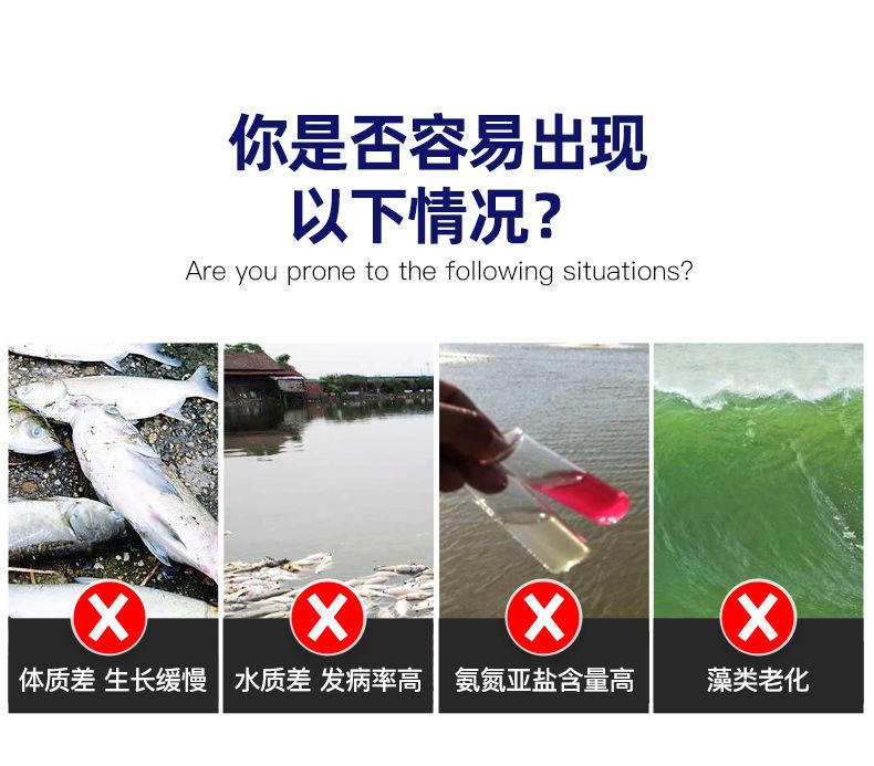 营养添加剂 维生素B2浓缩型水产养殖营养液虾蟹鱼促长剂诱食开胃抗病防应