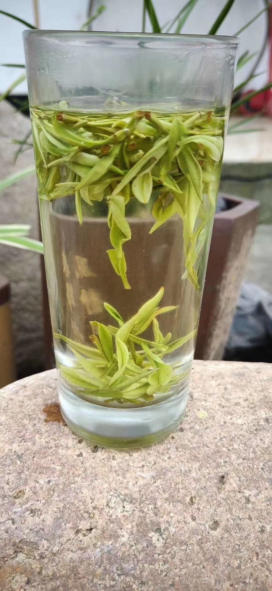 龙井茶  绿，产地杭州富阳区，茶农直销，初级农产品。