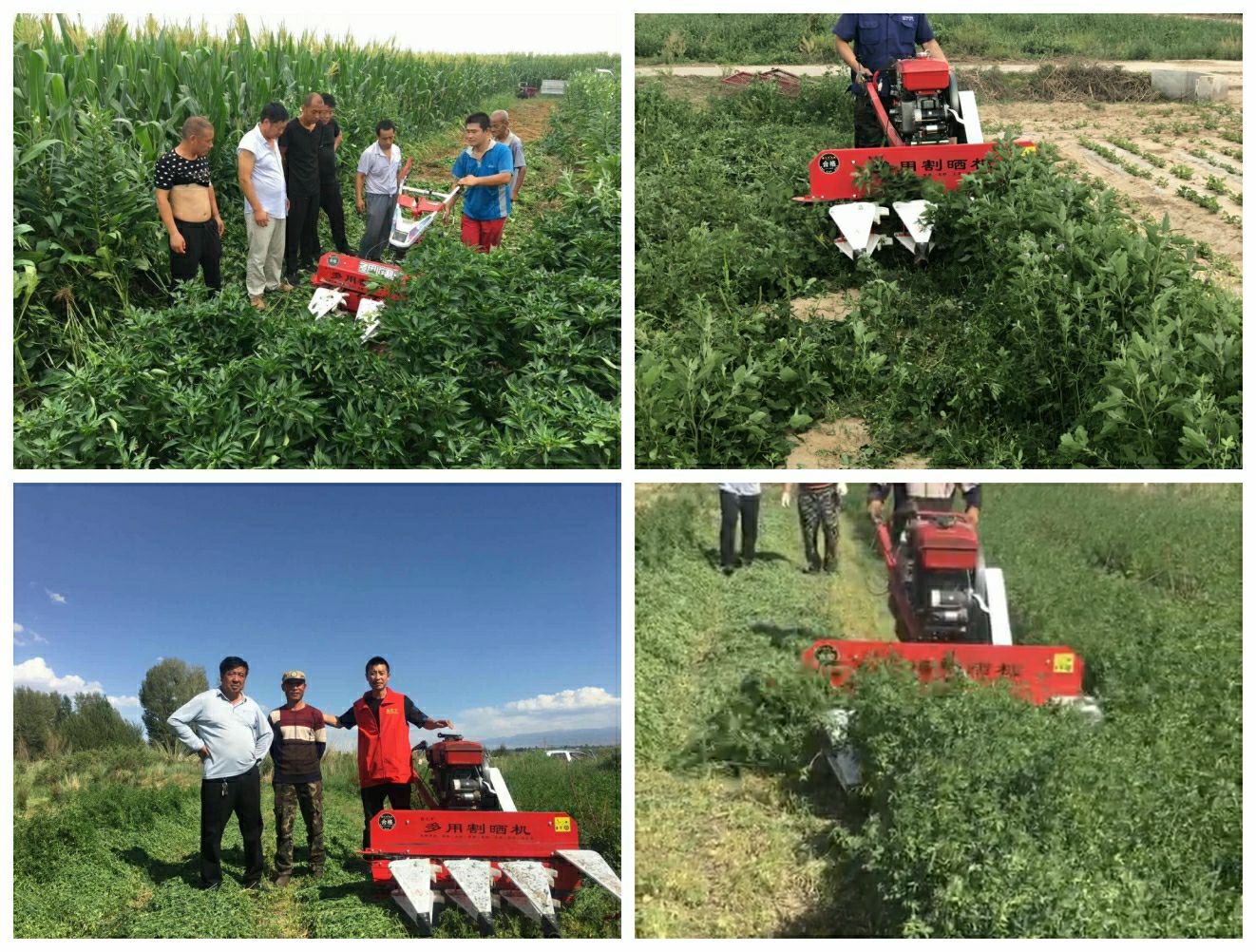 割晒机  开路先锋100汽油