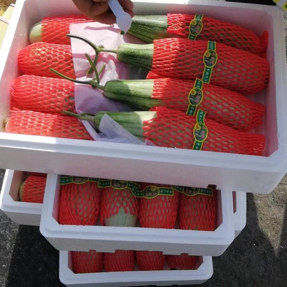 羊角蜜甜瓜脆甜可口七两至一斤半，承接各大电商平台无中间商差价