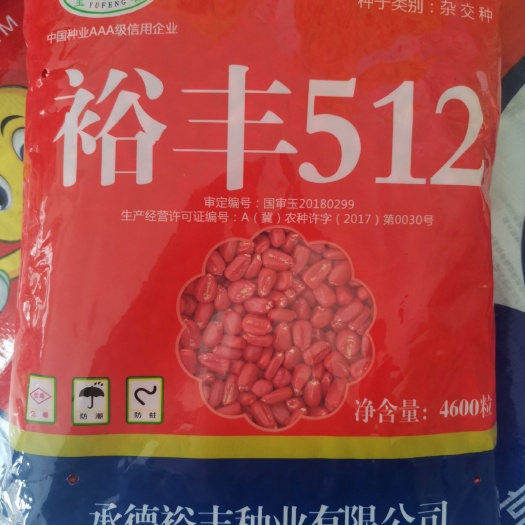 济南创玉102玉米种子 高产矮杆大棒玉米杂交种高抗病，耐高温。