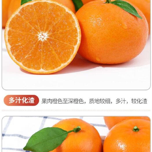 莘县沃柑 好吃