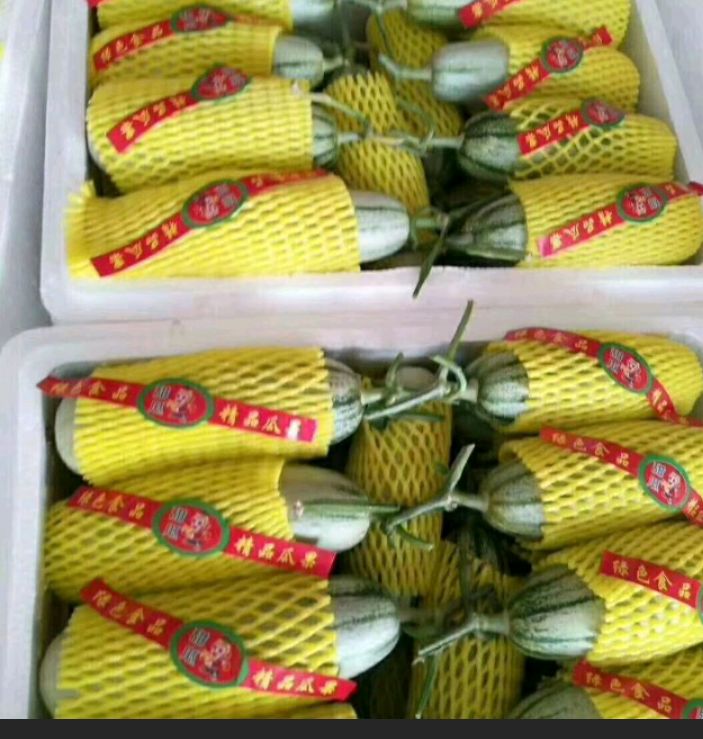 山东精品博洋61羊角蜜甜瓜，味道独特，脆甜上口。
