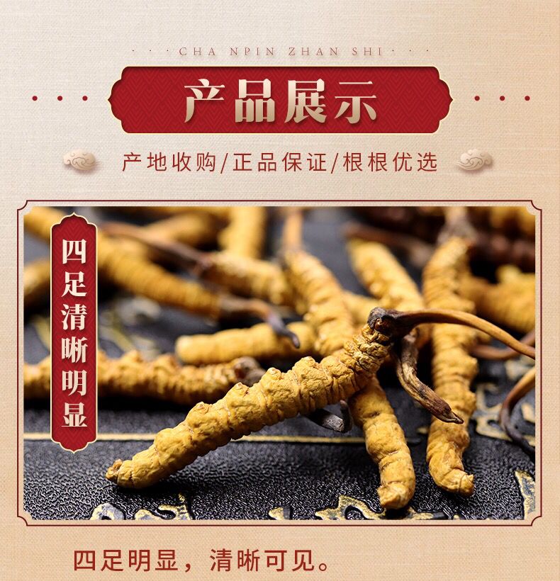 青藏冬虫夏草 高海拔正宗正品精选虫草礼盒装