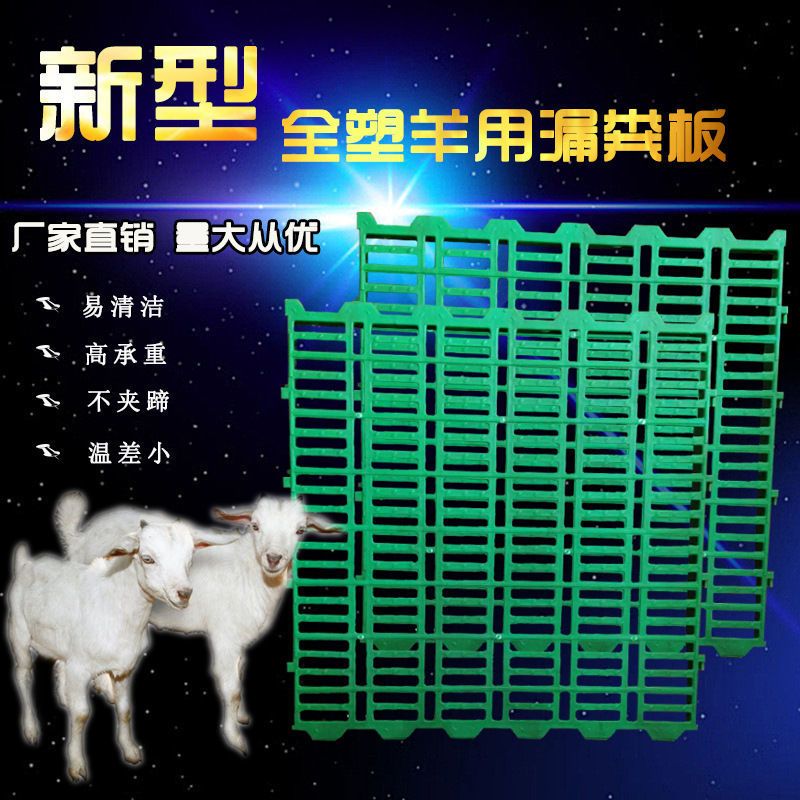  羊用漏粪板塑料羊床板养羊专用地板保育床接粪漏缝板养殖场设备