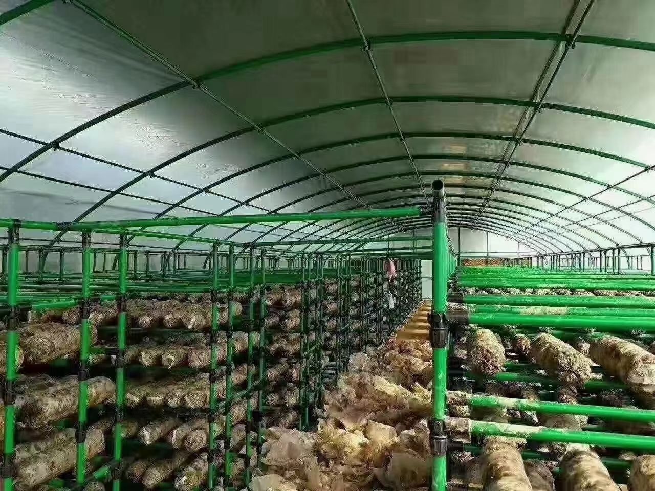 大棚骨架 养殖大棚，种植大棚，各种钢材