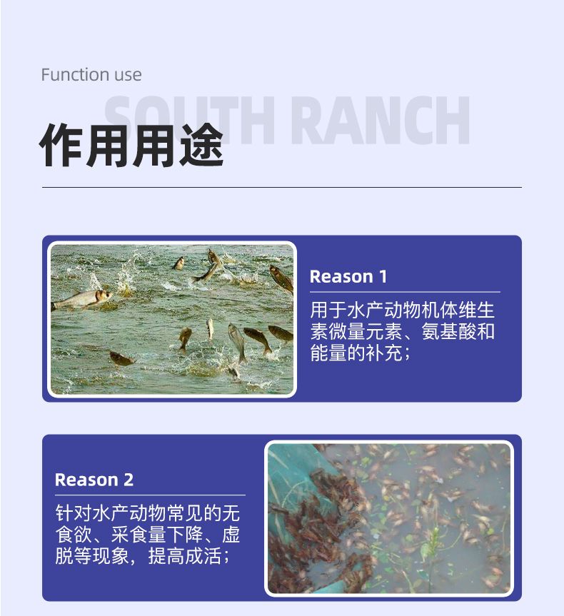 营养添加剂 维生素B2浓缩型水产养殖营养液虾蟹鱼促长剂诱食开胃抗病防应