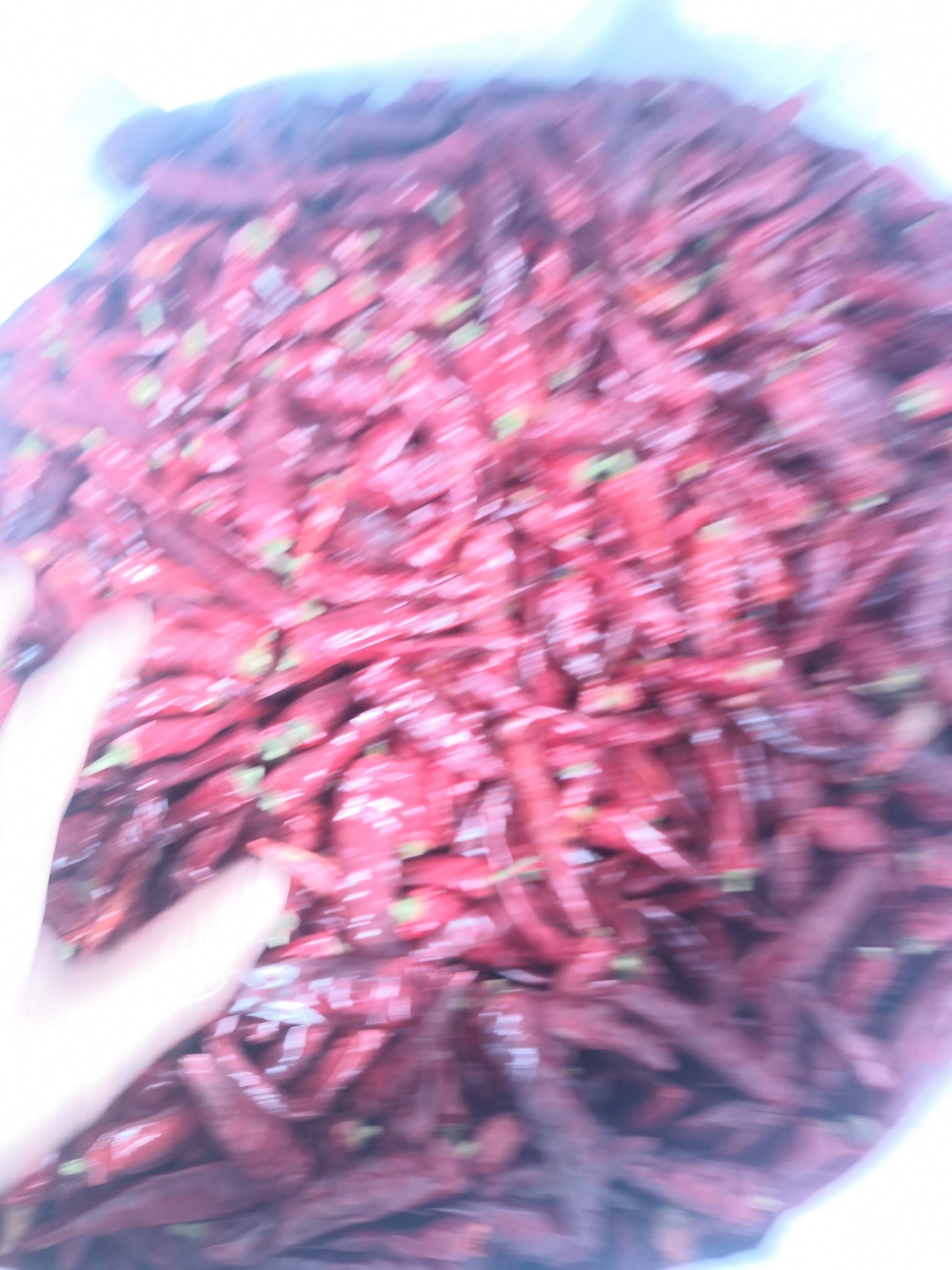 朝天椒干辣椒  贵州本土辣椒，朝天椒，