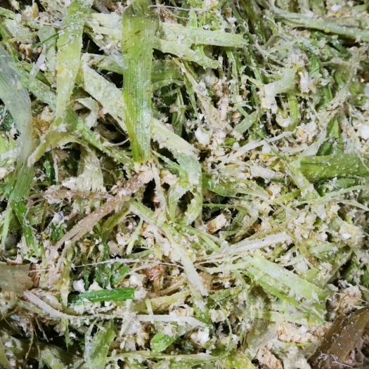 信丰县玉米青贮  青储，玉米心青储，有现货，常年供应