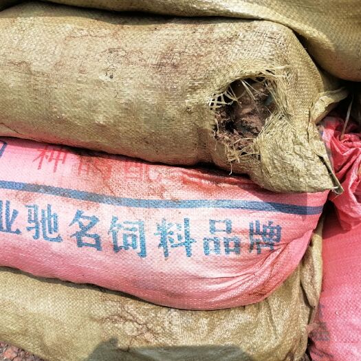 紫金县鸽粪