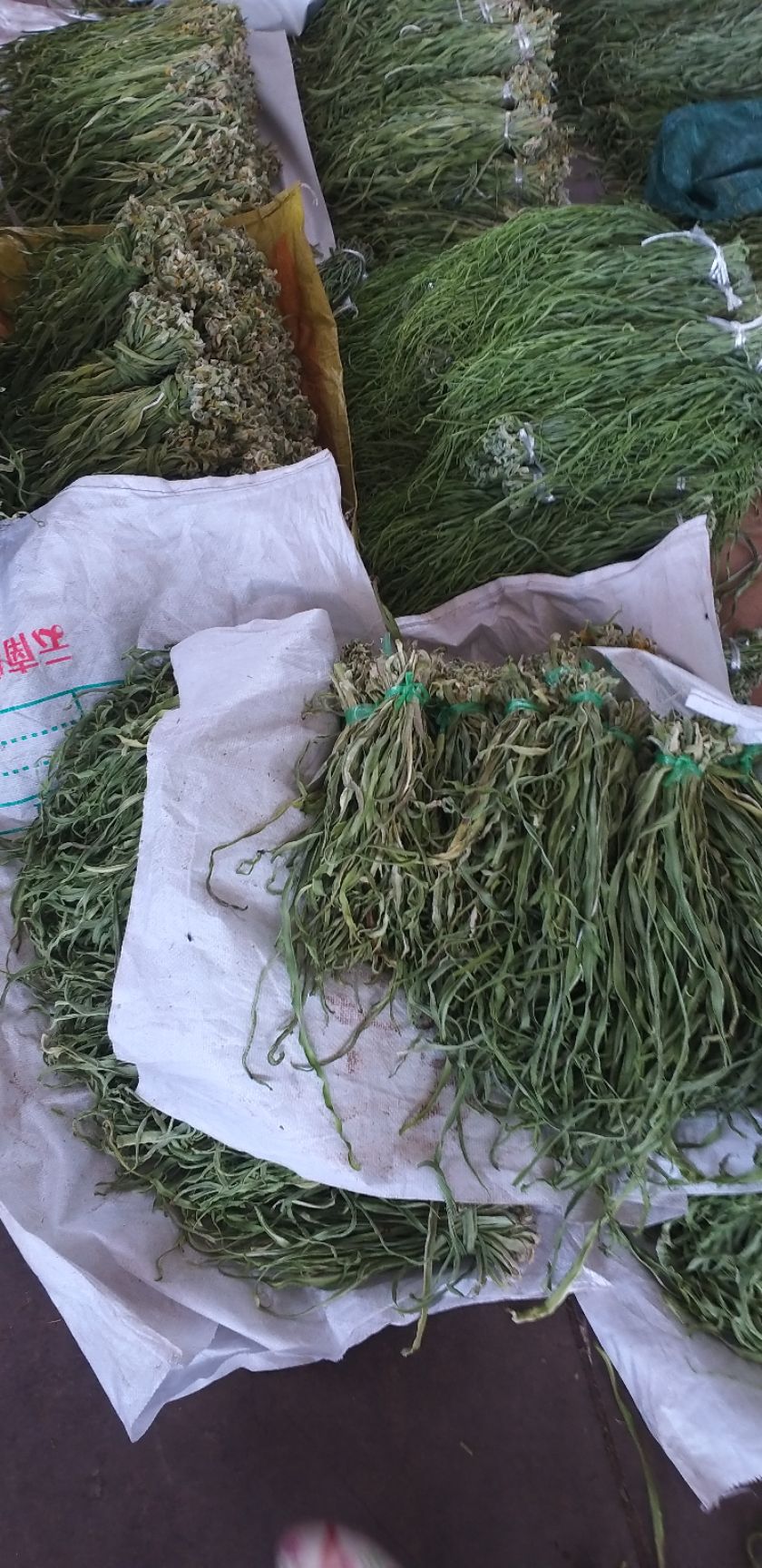 苔干 