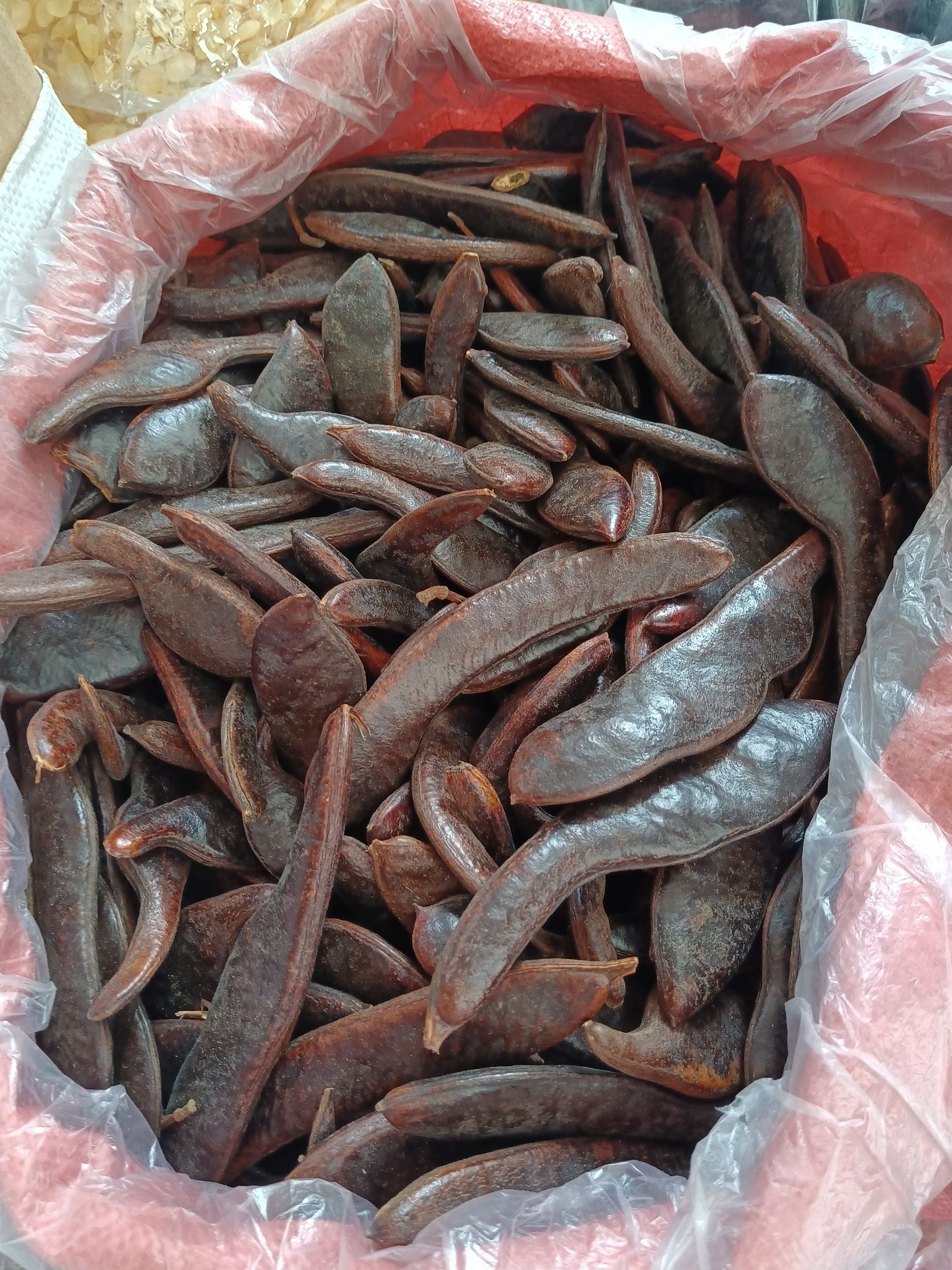 皂角皂荚大小皂角有货量大从优