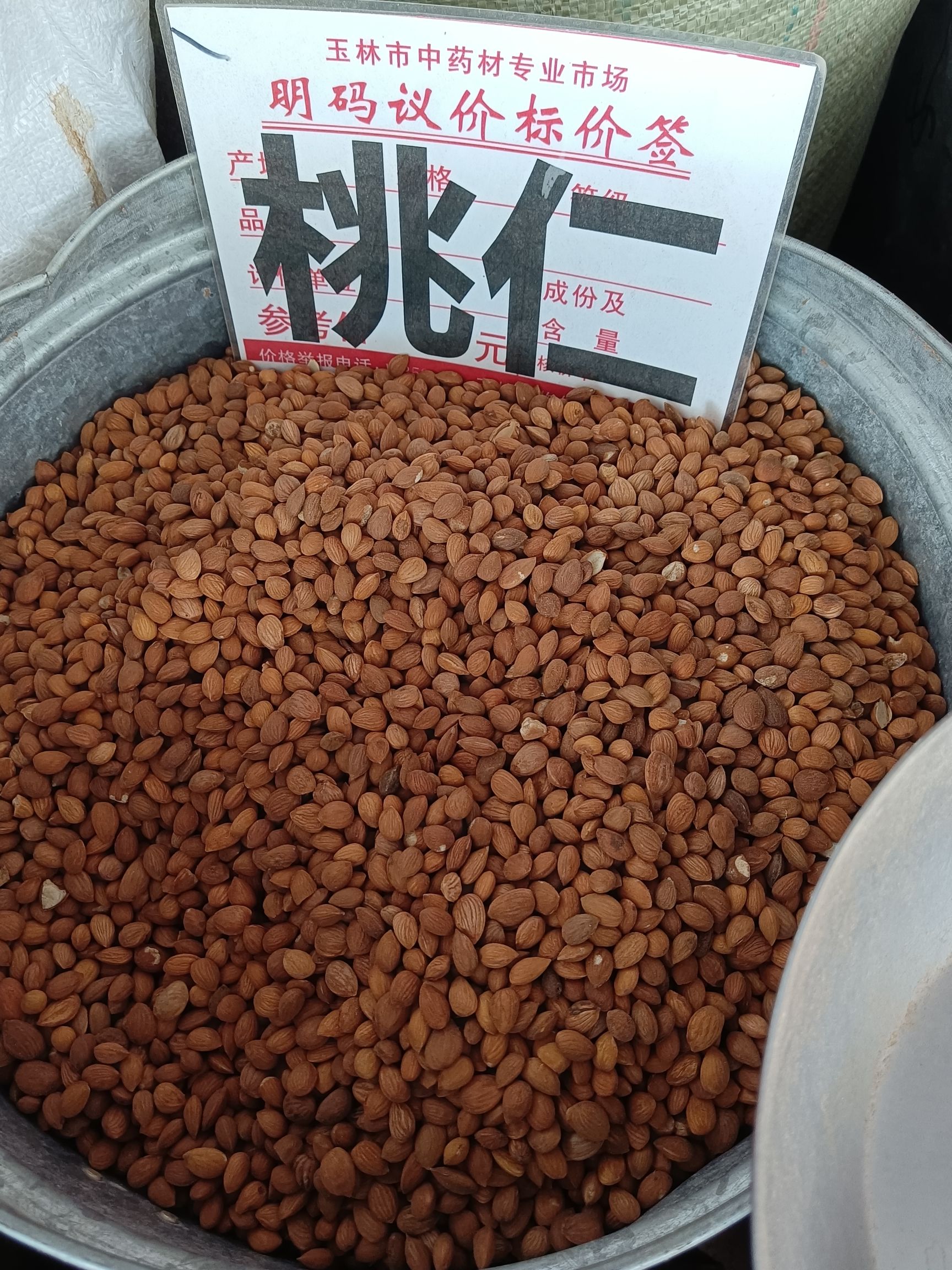 优质扁桃仁山桃仁量大从优