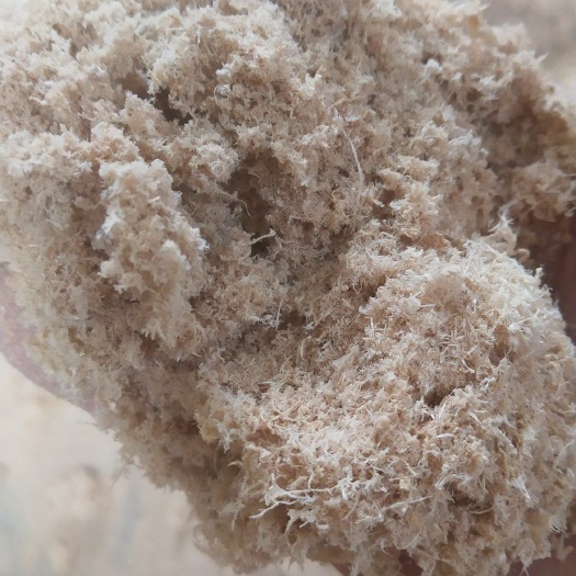 柳州木粉 