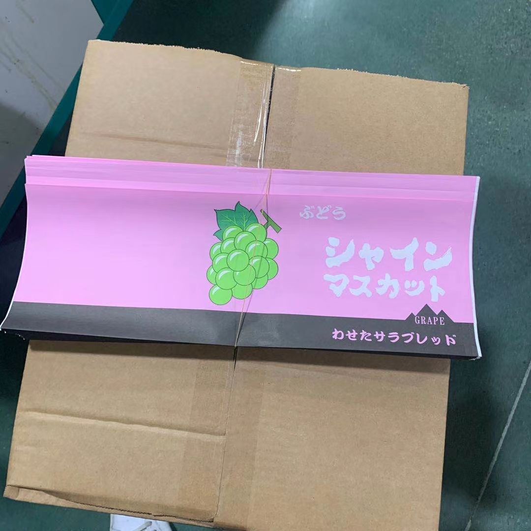 纸袋  葡萄包装袋 纸包装袋 无防布包装袋 哈密瓜包装袋
