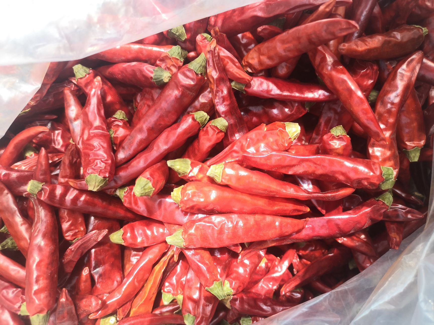 小米椒干辣椒 满天星，小米辣，贵州本土农户直供！