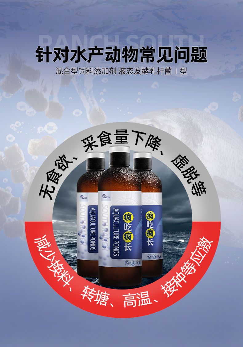 营养添加剂 维生素B2浓缩型水产养殖营养液虾蟹鱼促长剂诱食开胃抗病防应