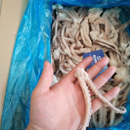 郑州日本枪乌贼  散装原汁单冻二本足鱿鱼须净3斤装质量好价格优惠