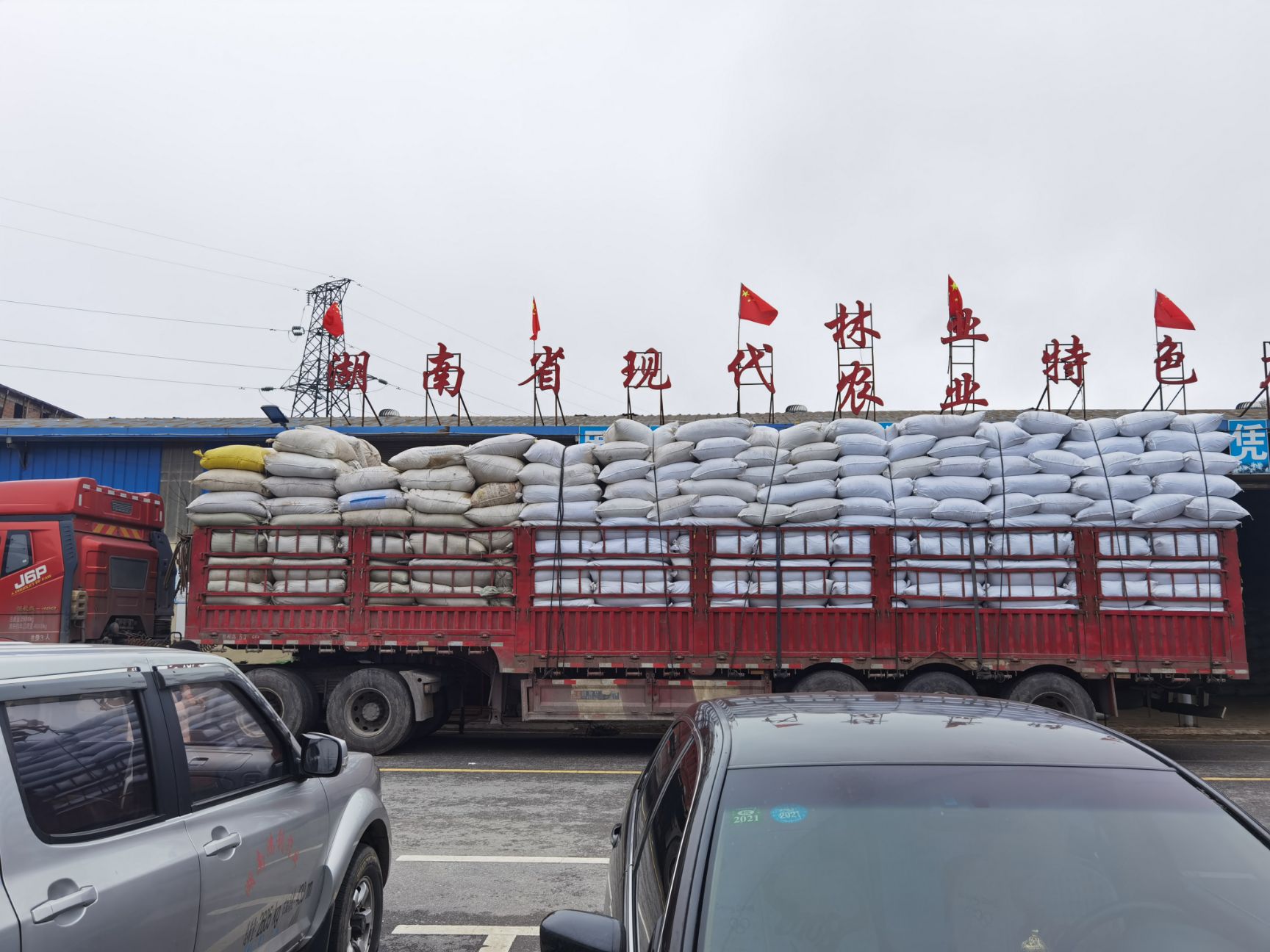 山银花  蒸汽五彩花，欢迎实地看货
