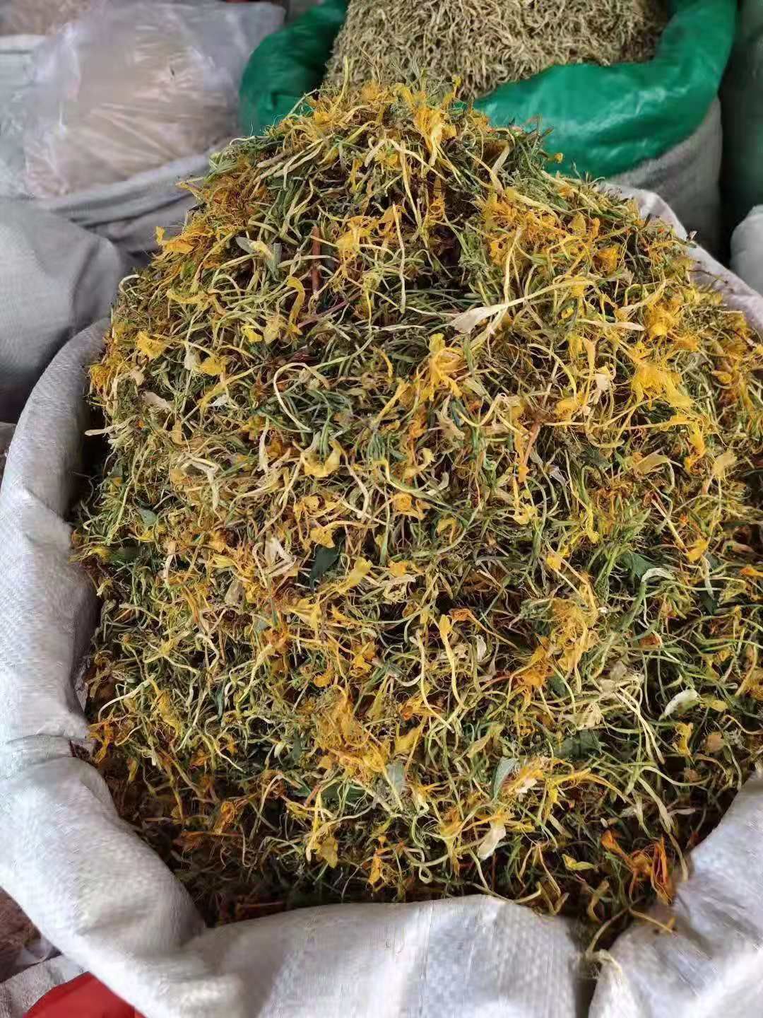 山银花  蒸汽五彩花，欢迎实地看货