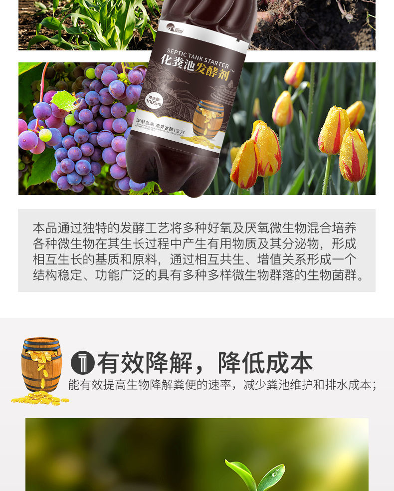 化粪池发酵剂新农村粪便分解旱厕化粪剂卫生间厕所粪尿发酵除臭剂