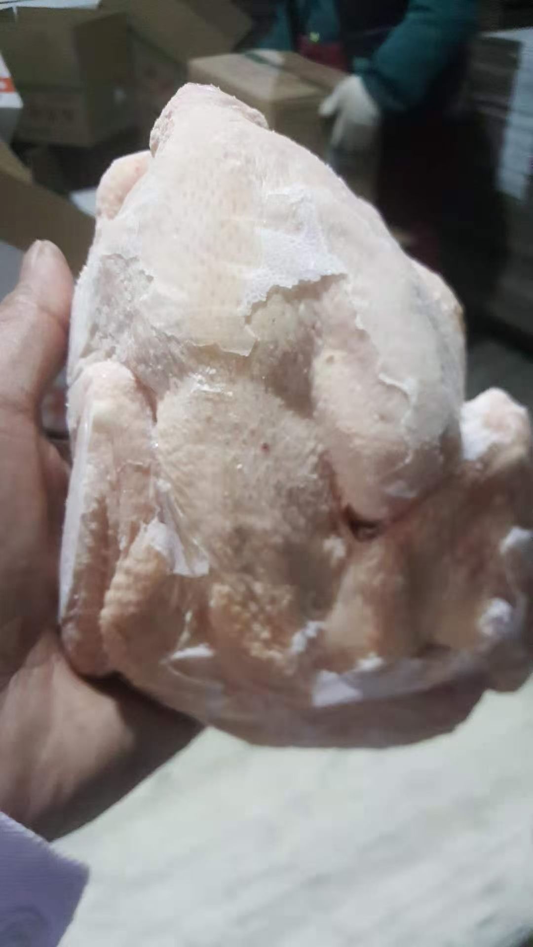 鸡肉  二级三黄鸡白条，常年供应 价格不高