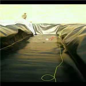 鱼塘 龙虾 各种养殖防渗膜