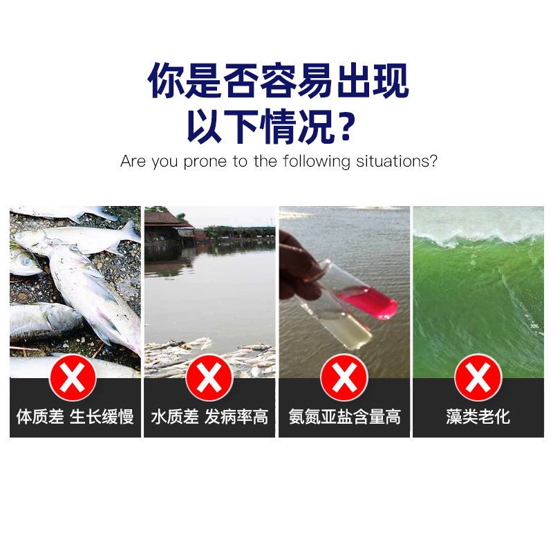营养添加剂 维生素B2浓缩型水产养殖营养液虾蟹鱼促长剂诱食开胃抗病防应