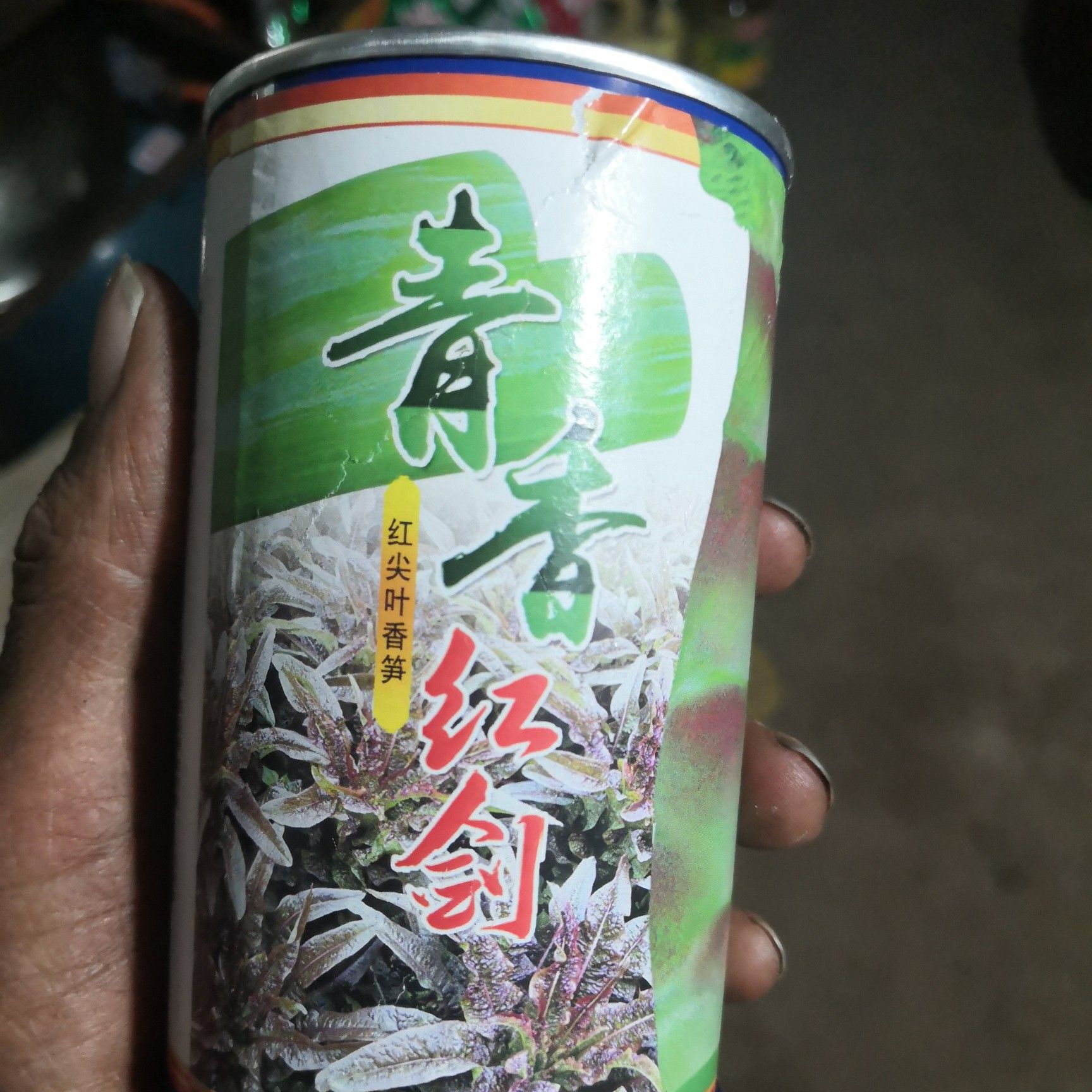 青香红尖莴笋苗，茶氏育苗有限公司，常年供应各种各样莴笋苗