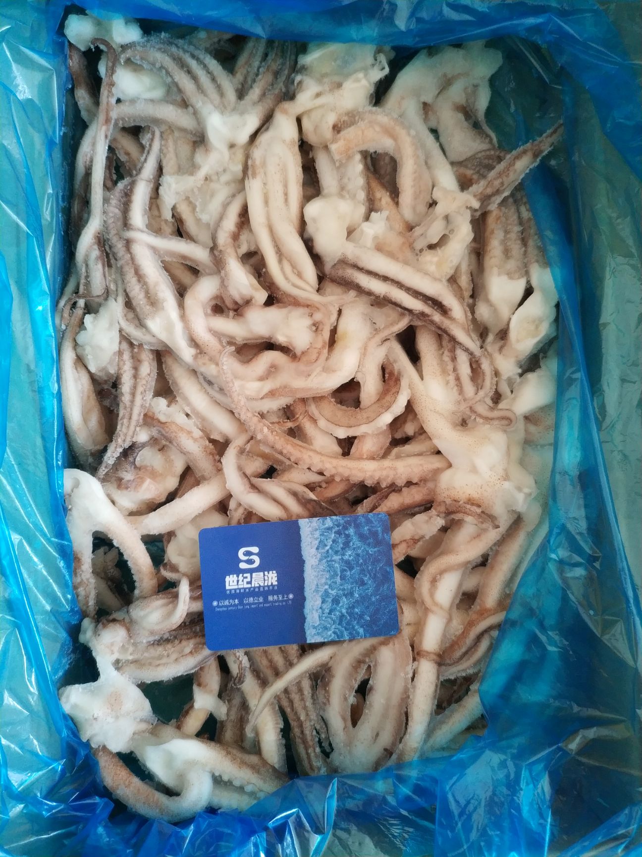 日本枪乌贼  散装原汁单冻二本足鱿鱼须净3斤装质量好价格优惠