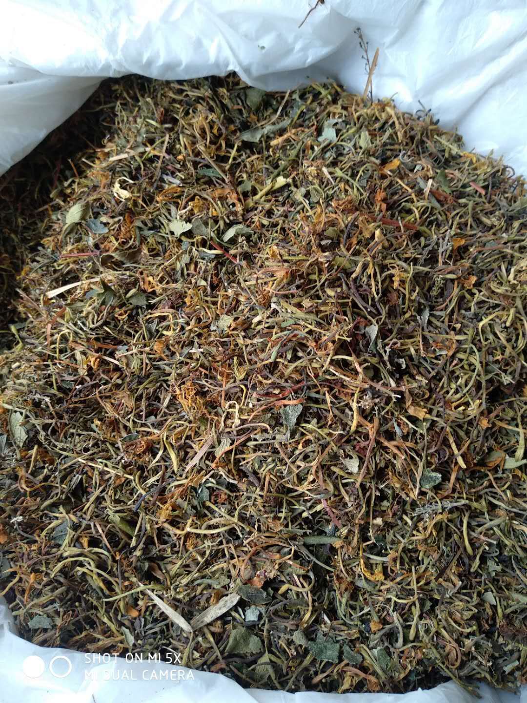 山银花  蒸汽五彩花，欢迎实地看货