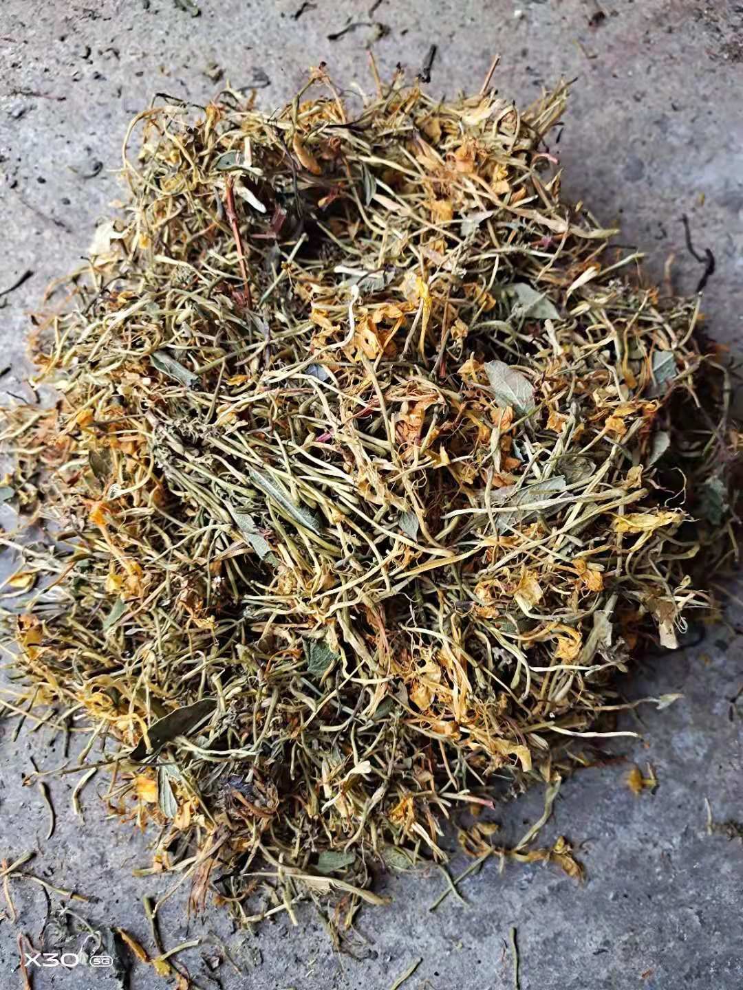 山银花  蒸汽五彩花，欢迎实地看货