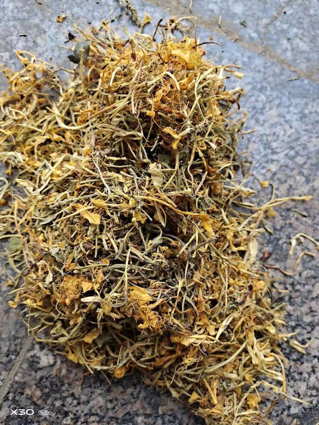 山银花  蒸汽五彩花，欢迎实地看货