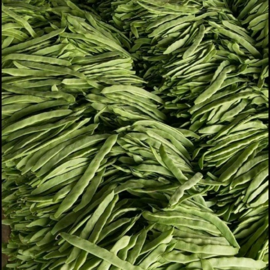 莘縣優(yōu)質(zhì)扁豆