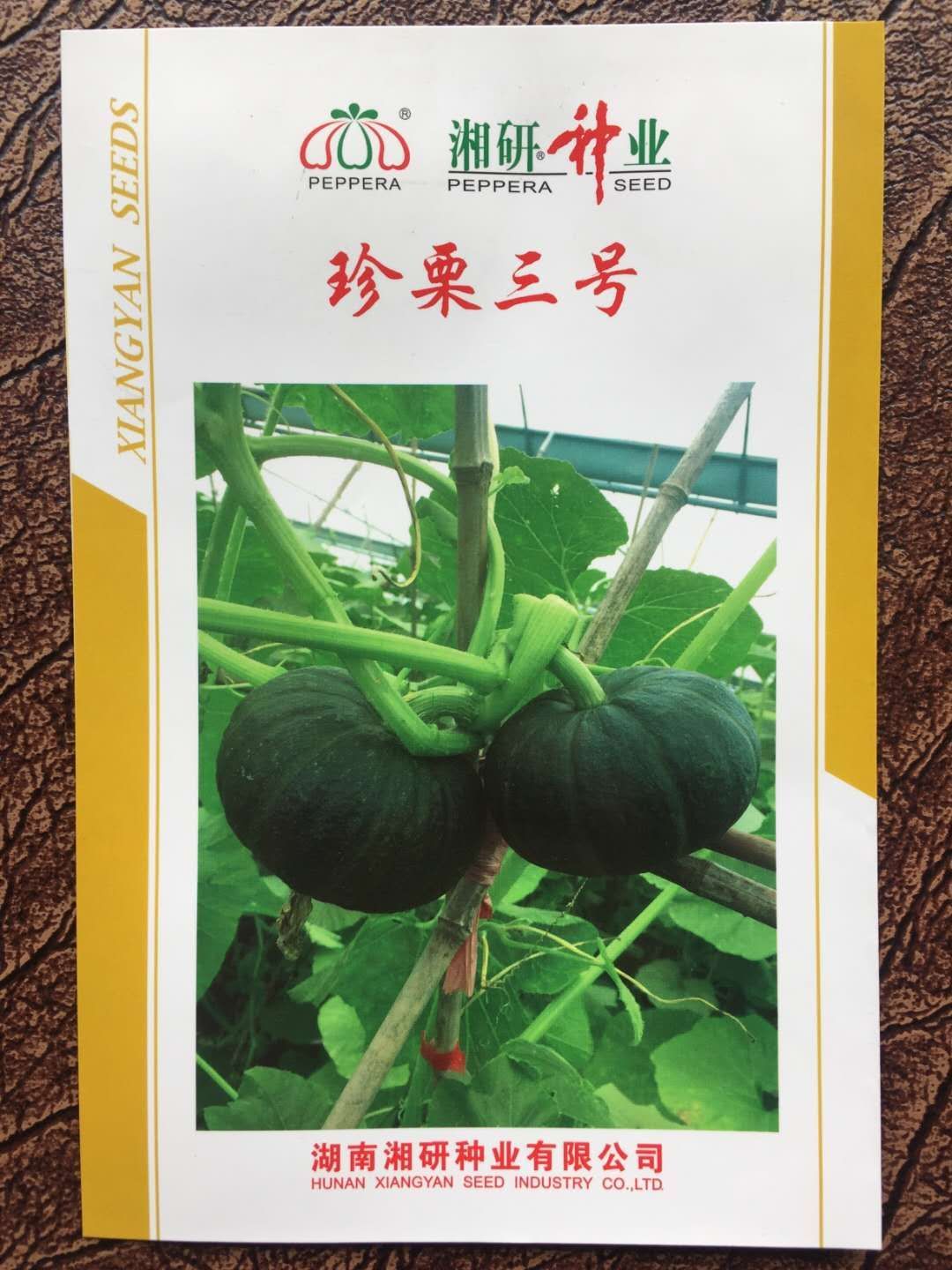 贝贝南瓜种子  珍栗五号  起色墨绿色  口感糯粉香甜 丰产