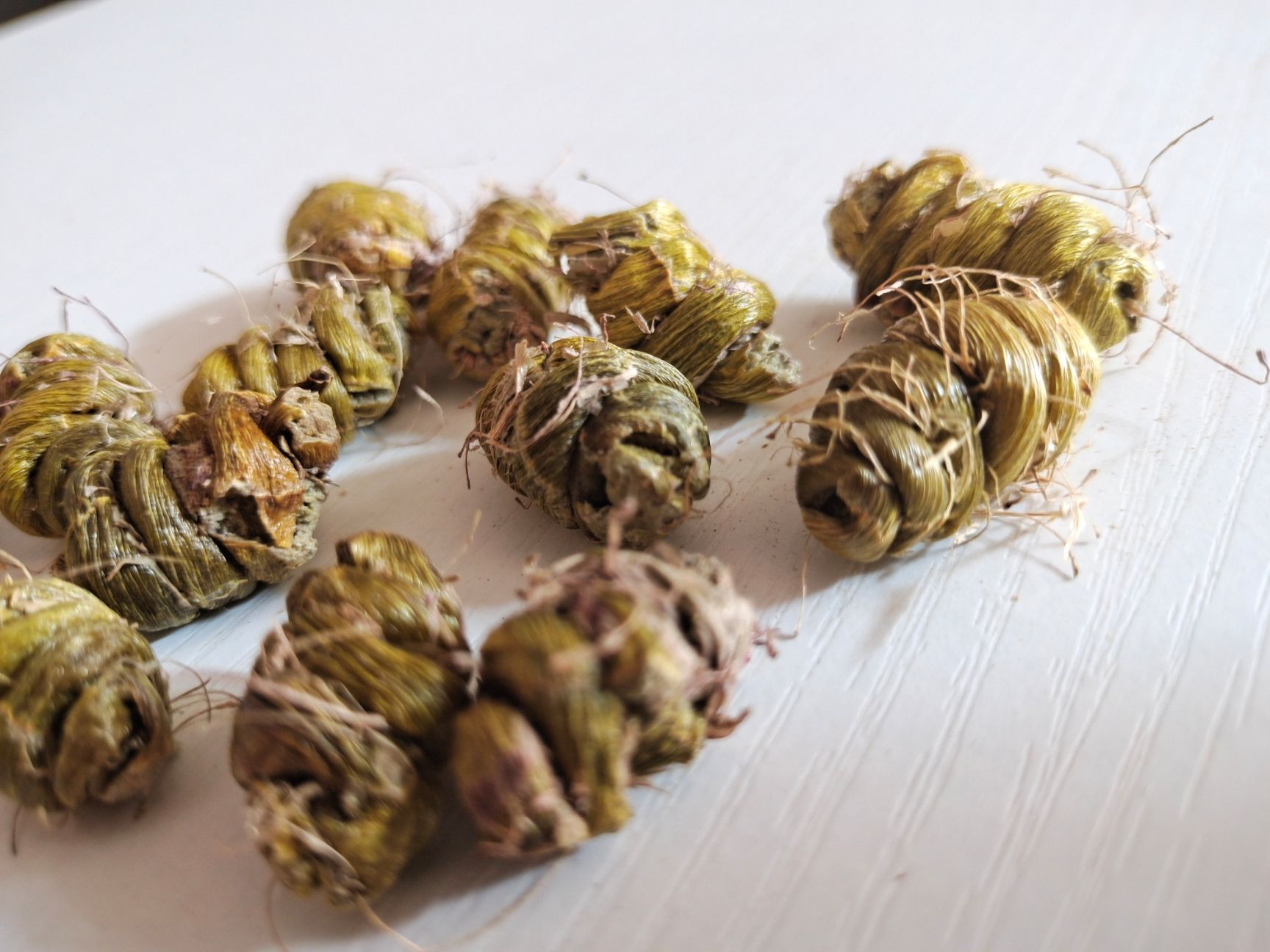 铁皮石斛枫斗/500克装