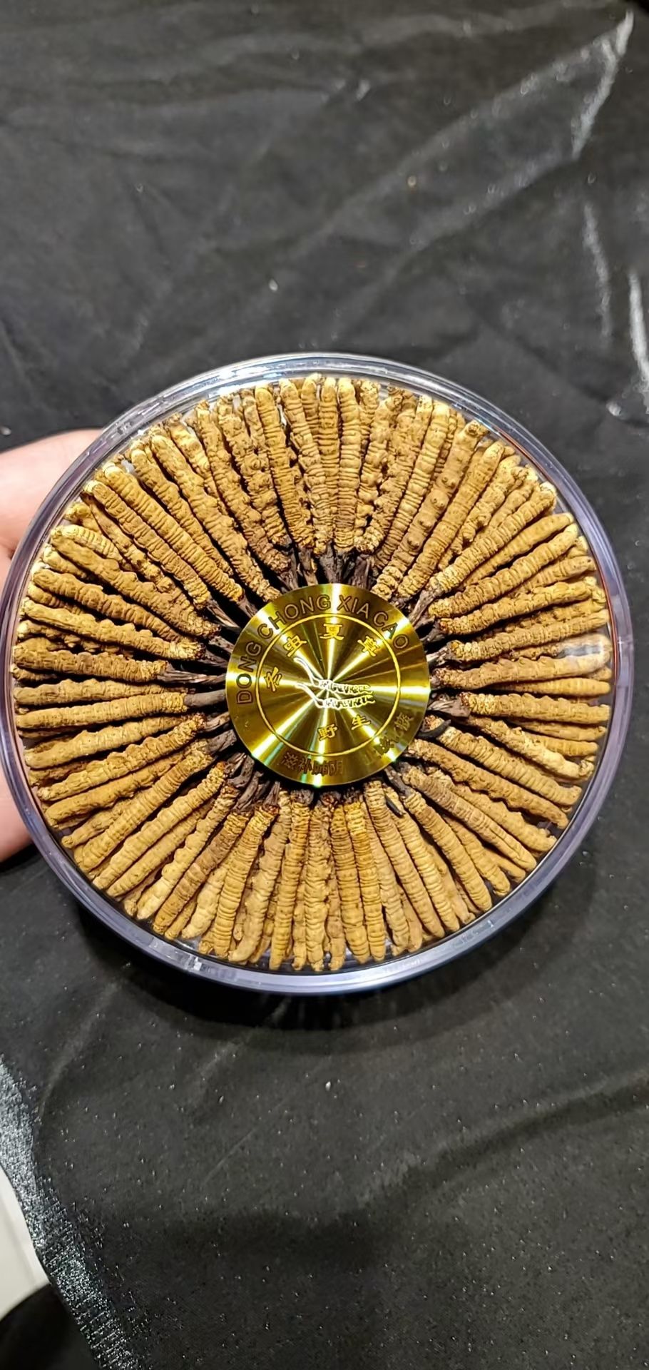 青藏冬虫夏草 高海拔正宗正品精选虫草礼盒装
