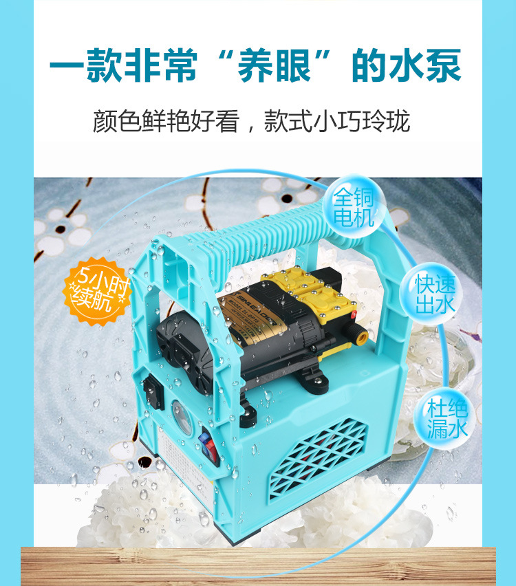 增压泵  浇菜水泵充电自吸泵12v打药泵喷雾器浇花抽水机便携式打药