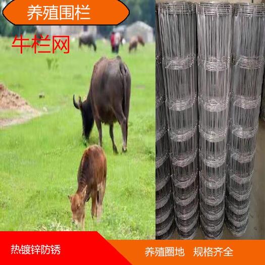 安平县护栏网  铁丝网围栏镀锌网养殖网护栏围栏栅栏户外铁丝网果园围