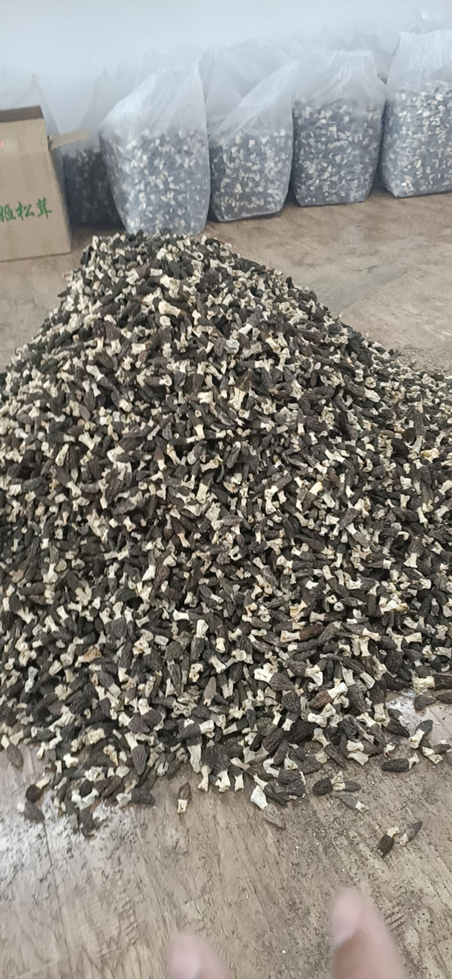 刚上 4~7公分干货羊肚菌性价比超高