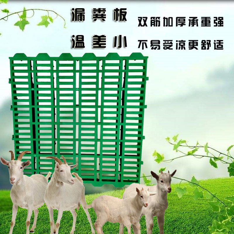  羊用漏粪板塑料羊床板养羊专用地板保育床接粪漏缝板养殖场设备