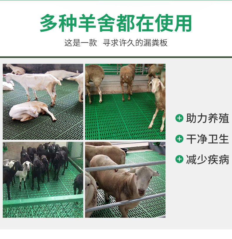  羊用漏粪板塑料羊床板养羊专用地板保育床接粪漏缝板养殖场设备