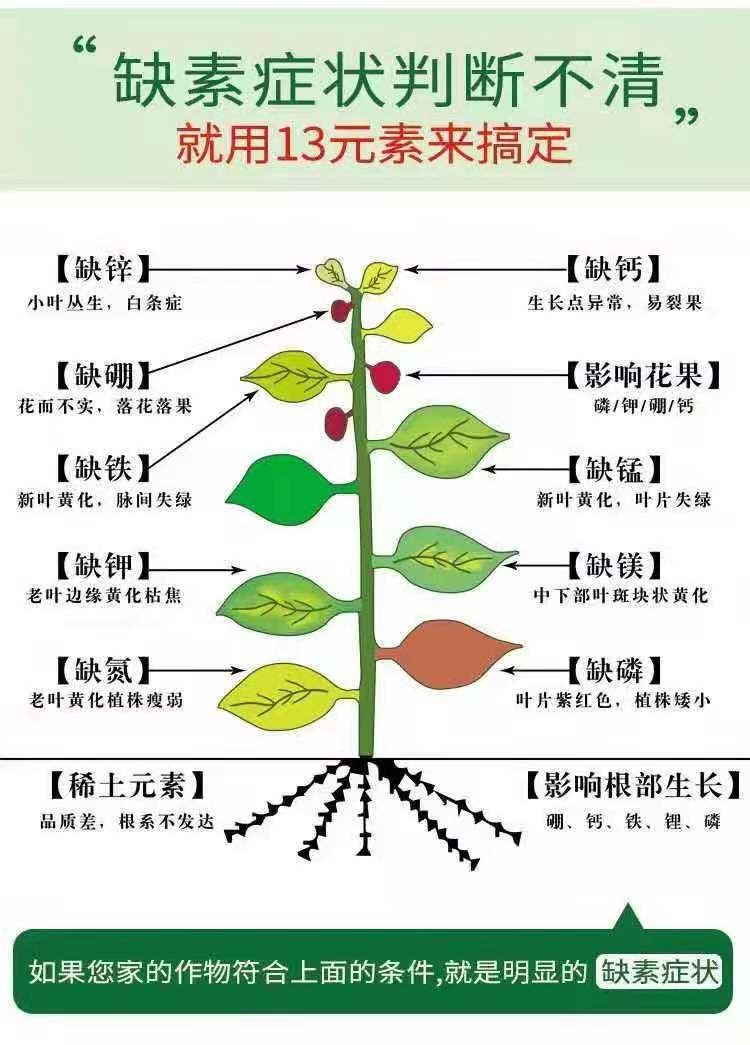 叶面肥  糖醇镁