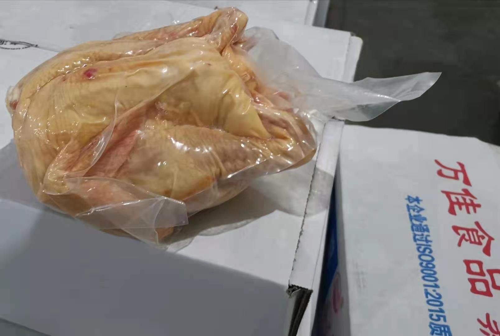 白条鸡 一级老母鸡，每箱11kg，7—10只大量有货